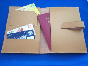pasport-case100